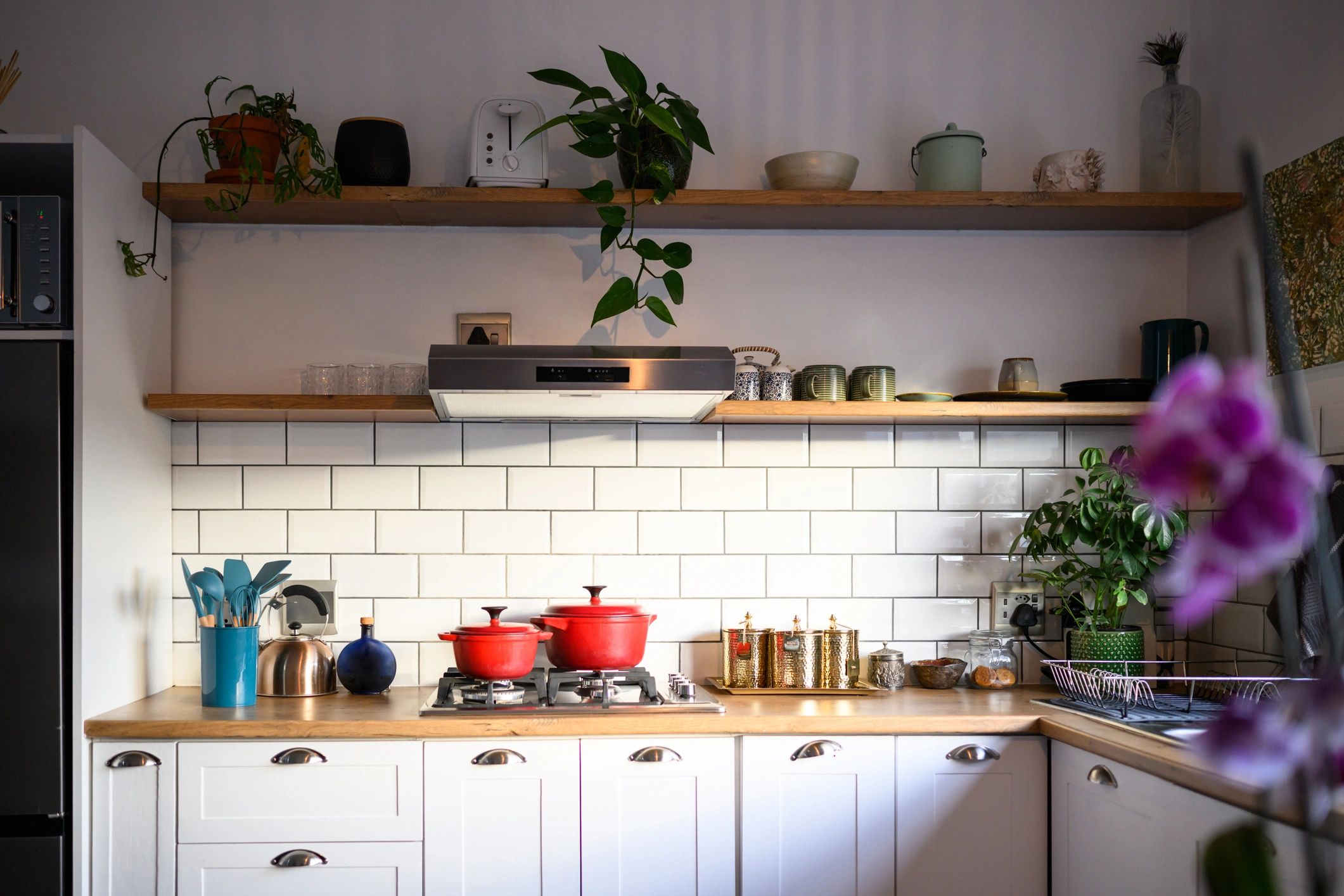 Bright, tidy modern kitchen with organized surfaces