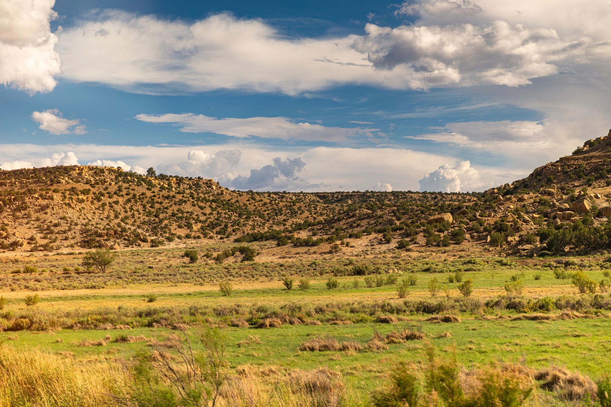 Open landscape illustrating environmental news